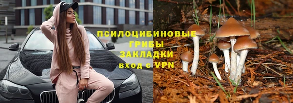 дурь Заволжье